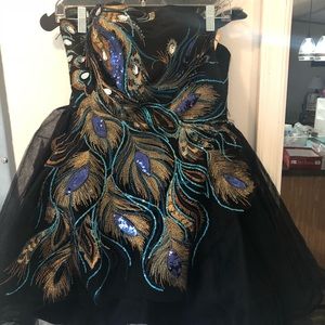 Peacock fun gown with lace up corset  in back
